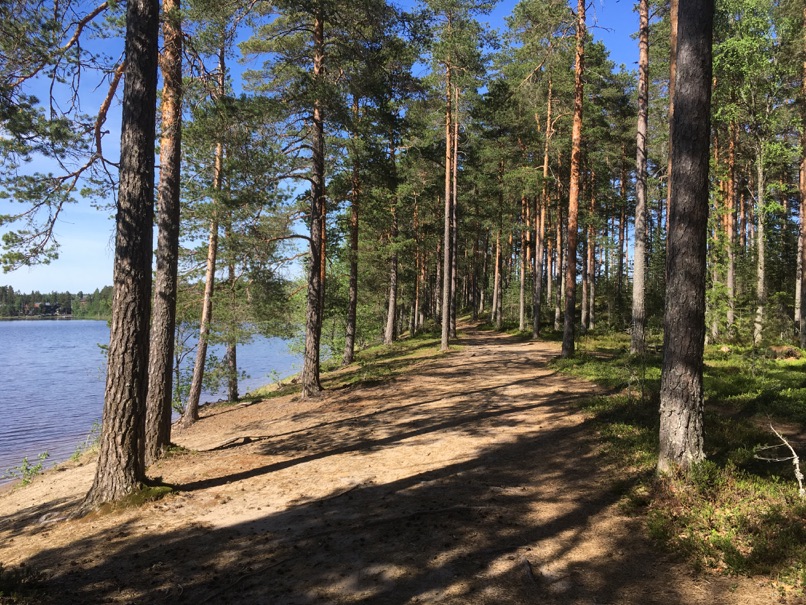 Ruostejärvi lake is fun nature destination for kids - Out in the Nature