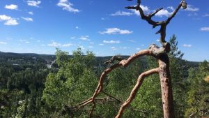 Kanavuori Chicken Mountain