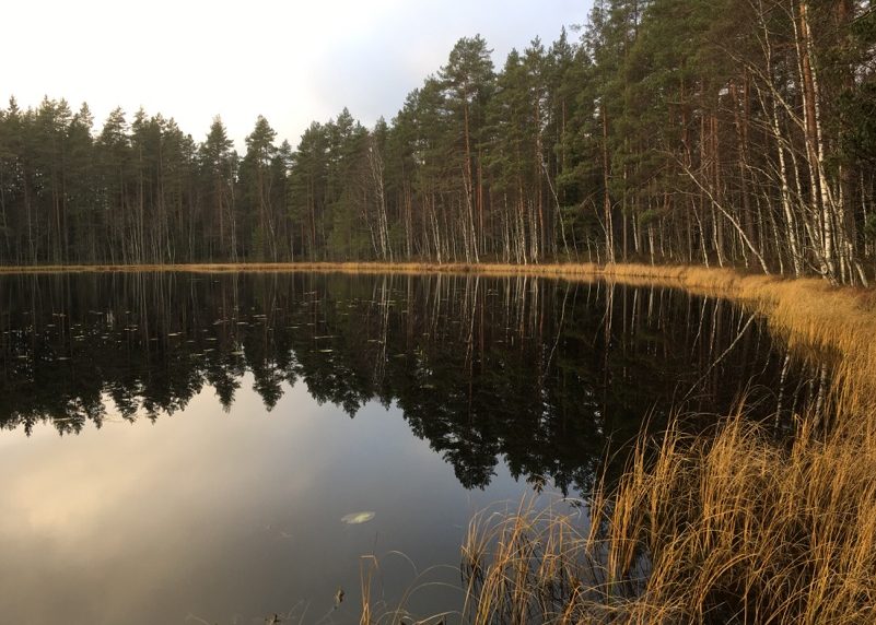 Pääjärvi recreation area has traces of the ice age - Out in the Nature