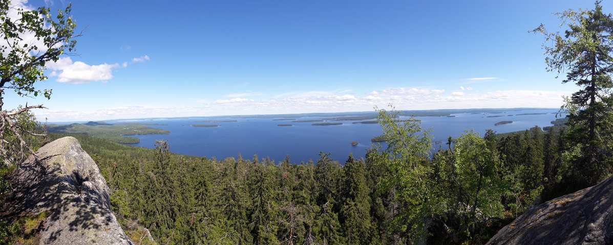 Koli - the most famous national park of Finland