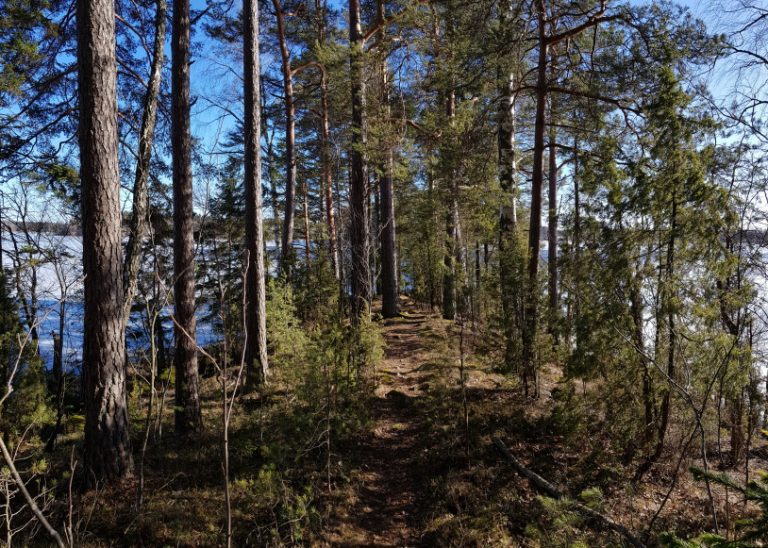 Korpudden - a hideaway with a view - Out in the Nature