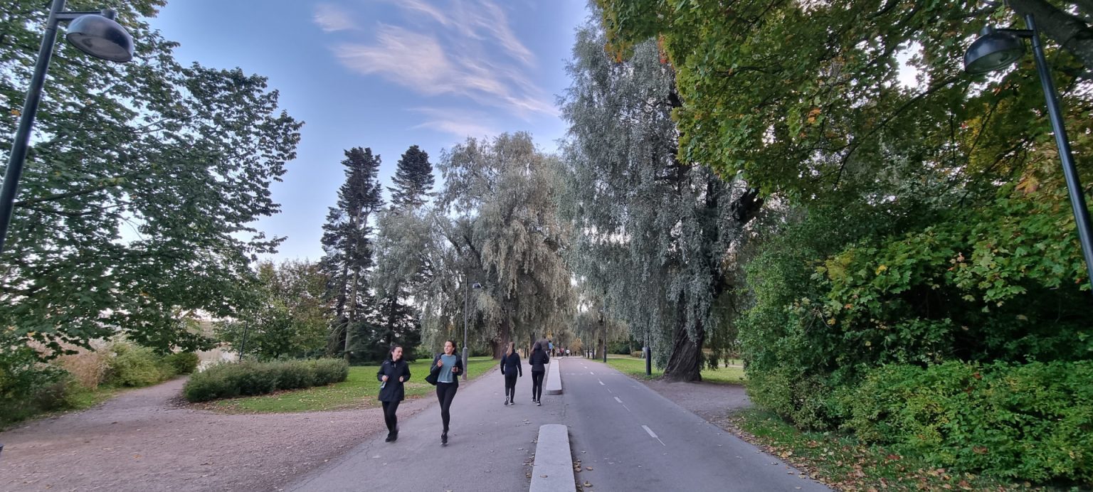 rhododendron-park-is-a-hidden-haven-in-helsinki-out-in-the-nature