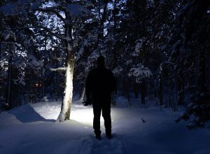 Person in a dark forest lit by a headlamp.