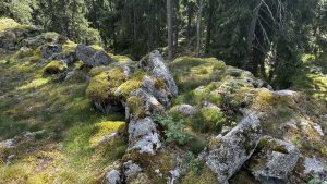 Ancient castle of Rekottila