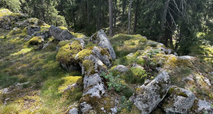 Ancient castle of Rekottila