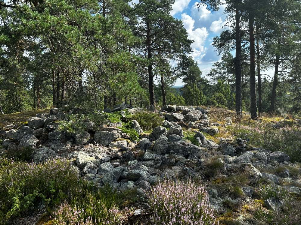 Broze Age burial cairns