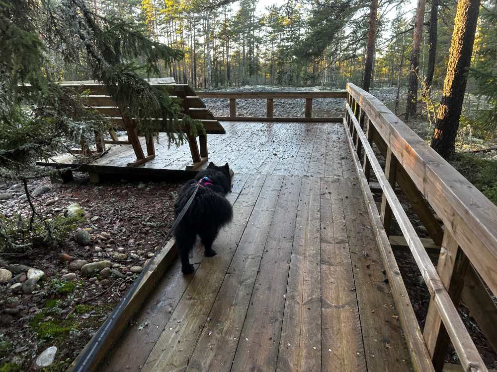 Jeturkasti viewing deck